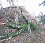Le Kagenfels