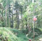 Le Kagenfels